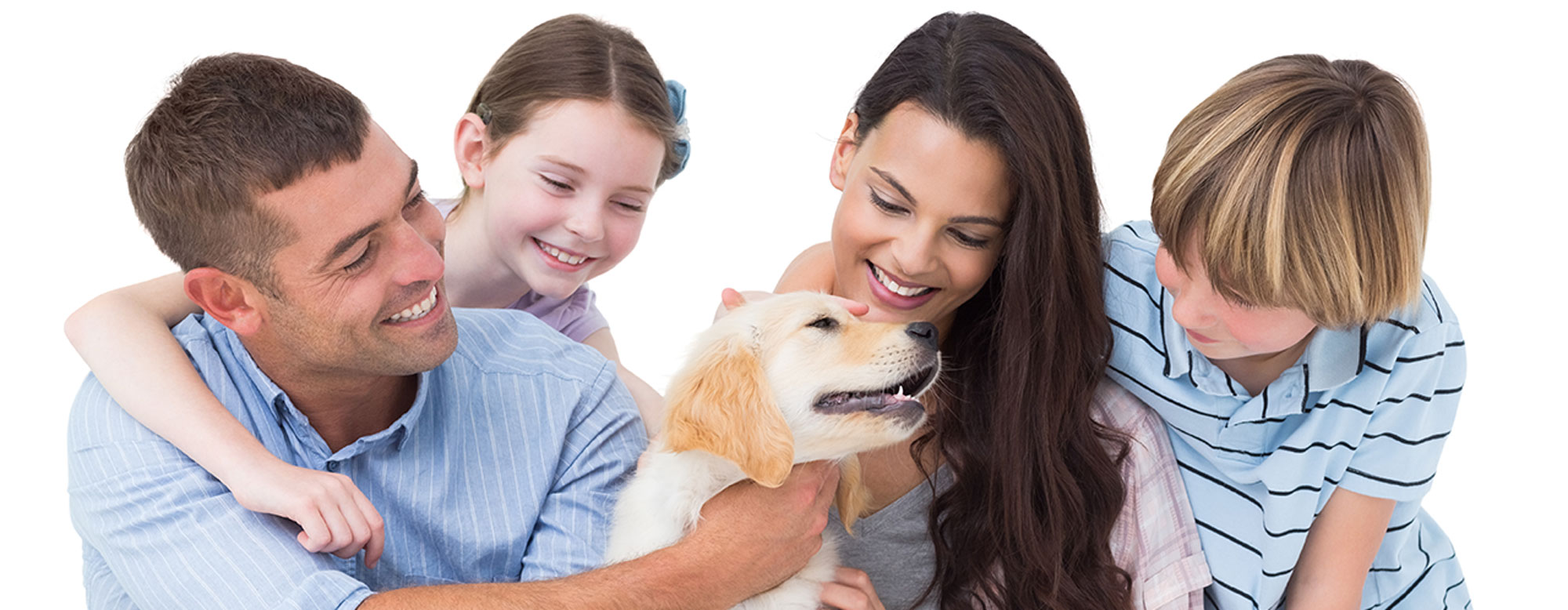 Welpen sozialisieren wie-sozialisiere-ich-welpen_2000px