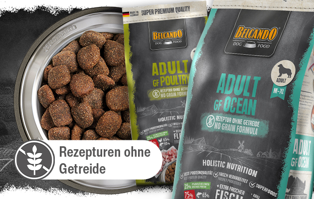 bb-kategorie-gf-mobile-header