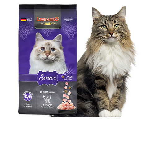 Leonardo Senior Trockenfutter Ein Futterbeutel der Sorte Leonardo Senior Trockenfutterneben einer älter aussehenden grau weißen Katze