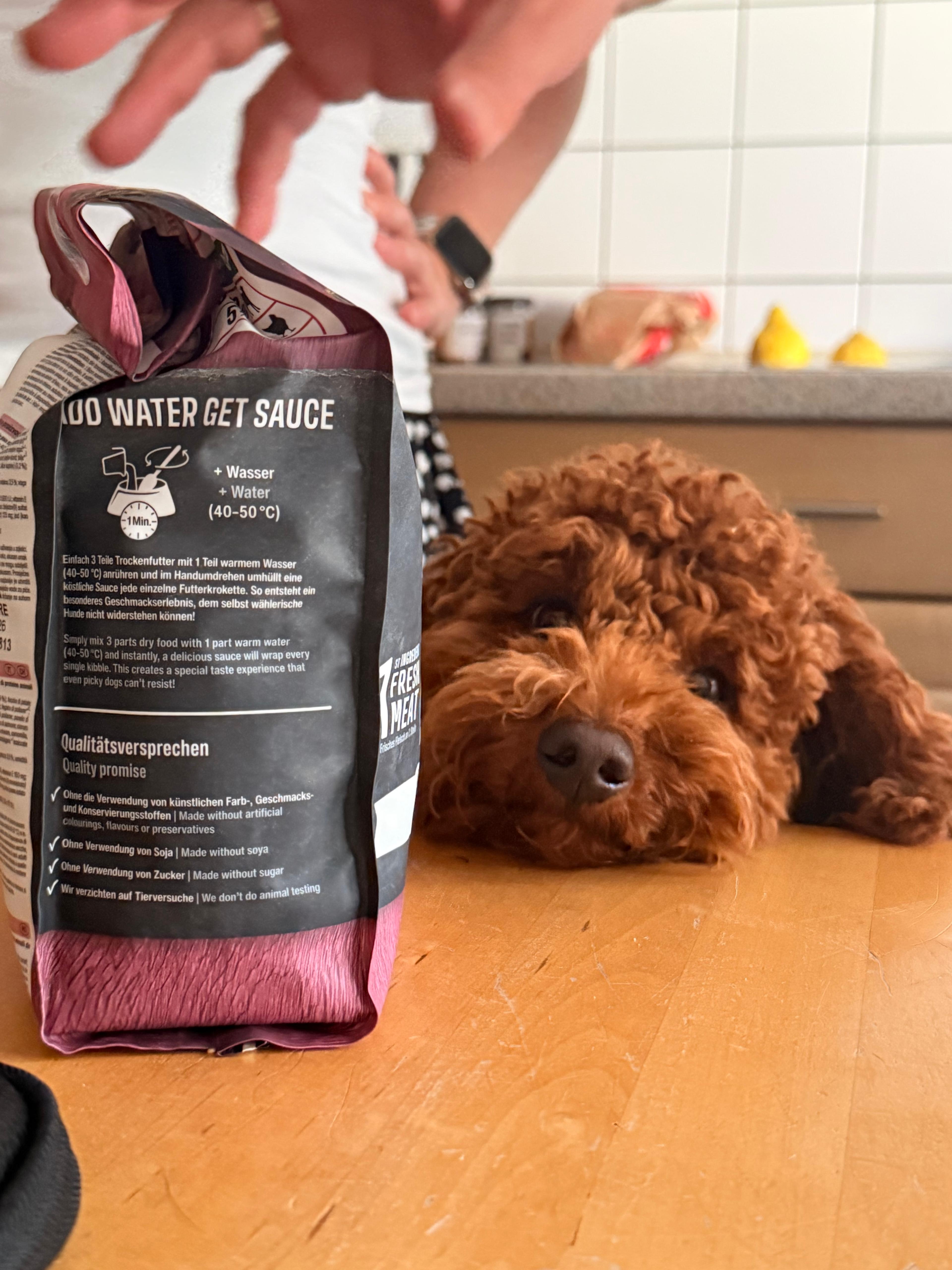 BELCANDO MASTERCRAFT Dog Box FRESH LAMB