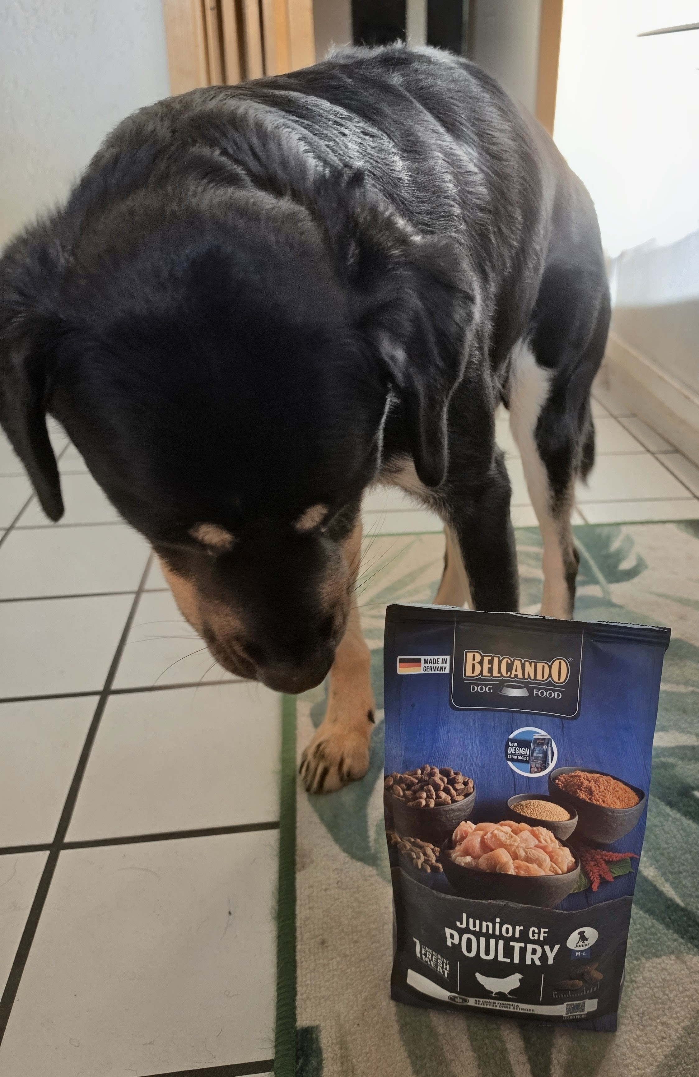 Dog Box BELCANDO Junior GF Poultry