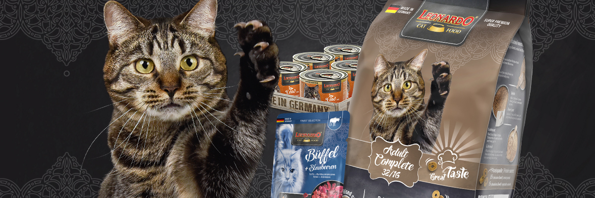 bl-kategorie-adult-desktop-header