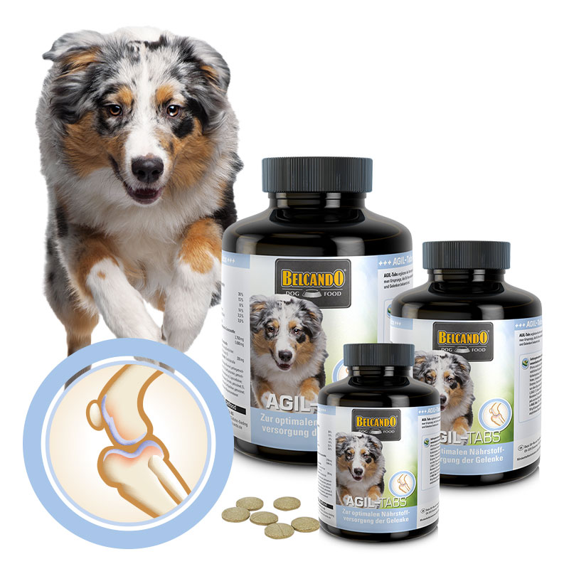 lp-tabs-agil-composing