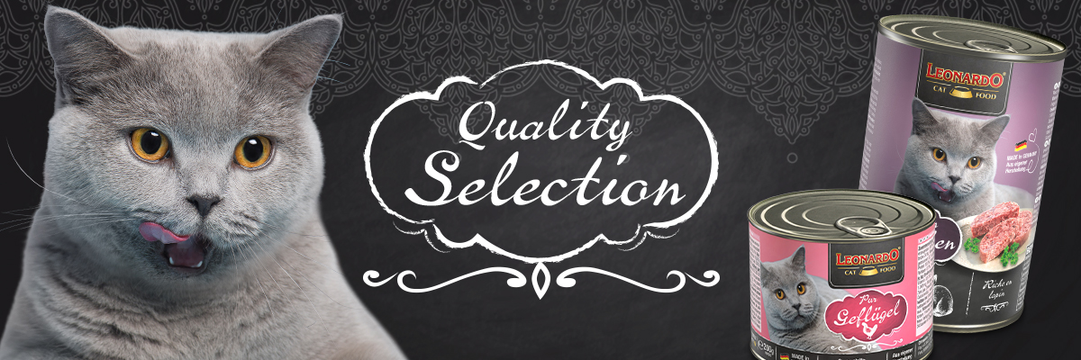 bl-kategorie-qs-desktop-header