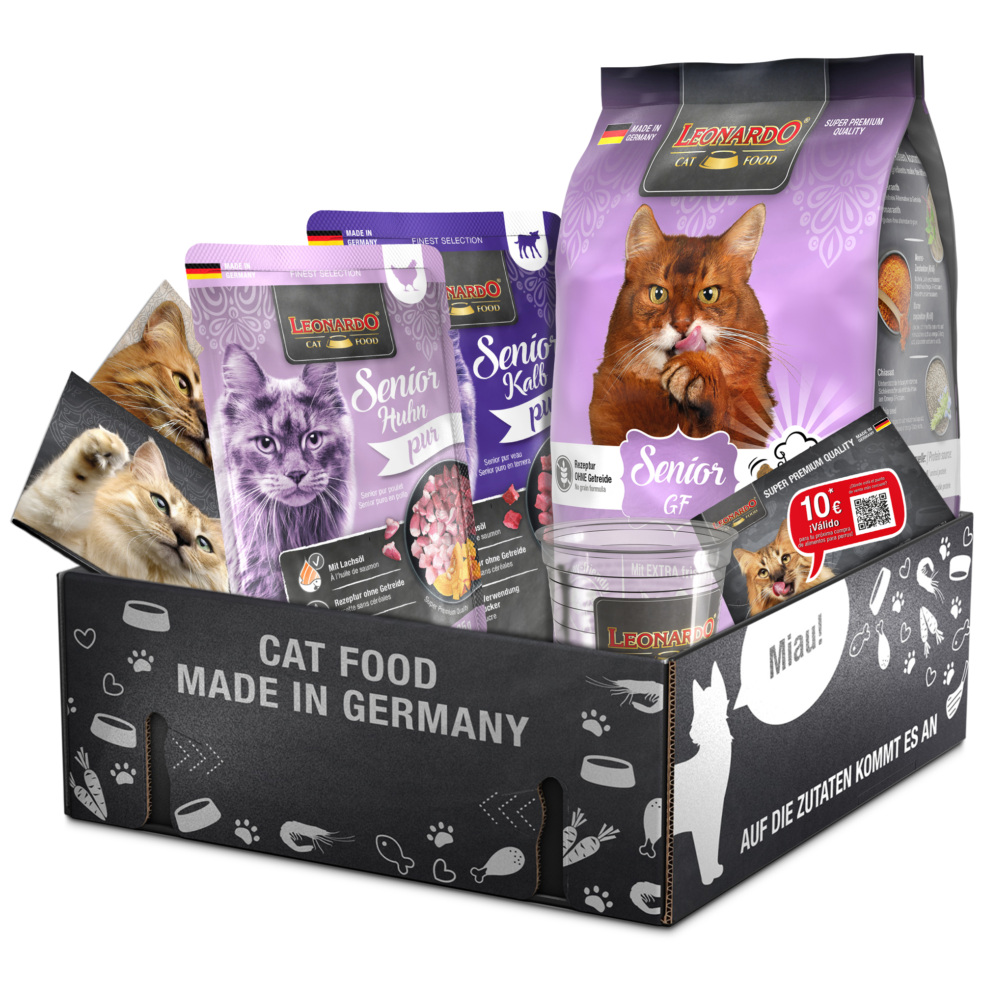 bl-klp-2025-senior-gf-es