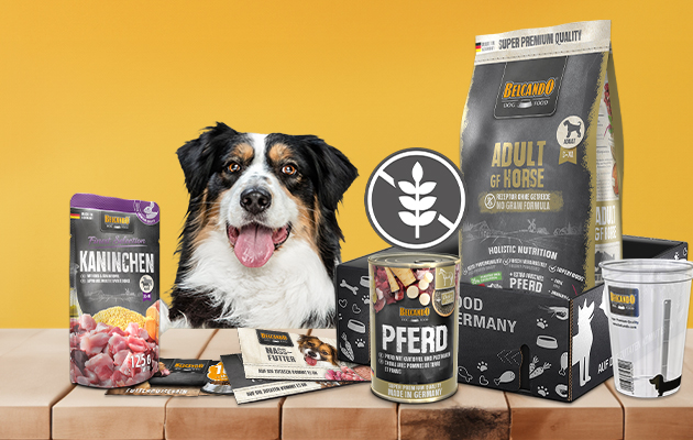 Belcando Probierbox Getreidefrei Belcando Probierbox Getreidefrei