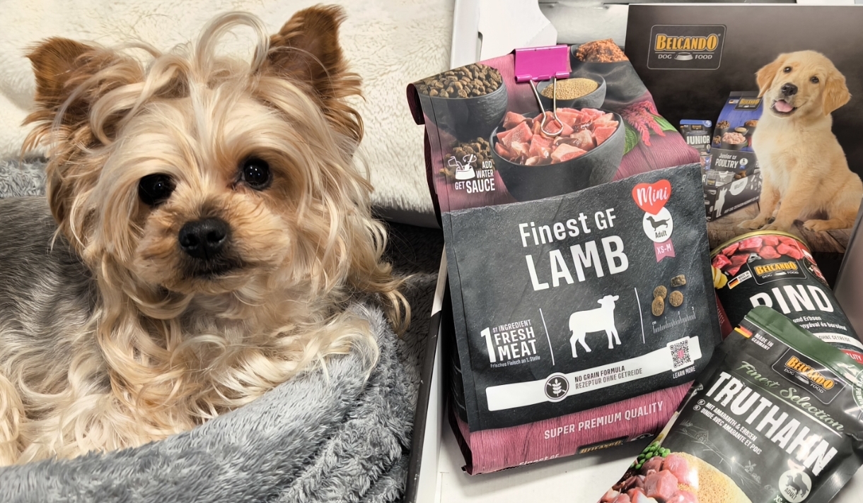 Dog Box BELCANDO Finest GF Lamb