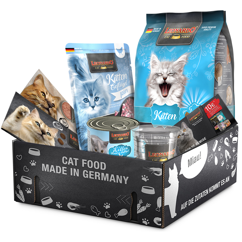 Paquet découverte Kitten bl-klp-2024-kitten-fr