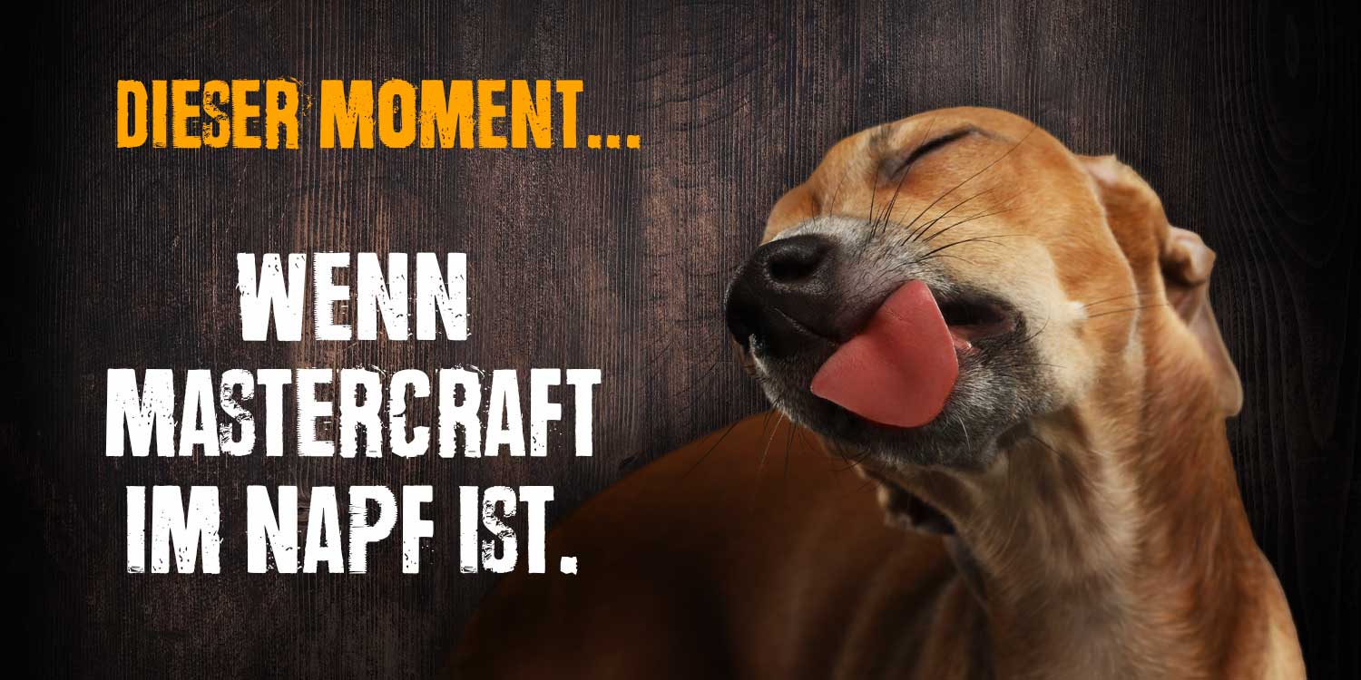 header-mc-probierpaket-v6