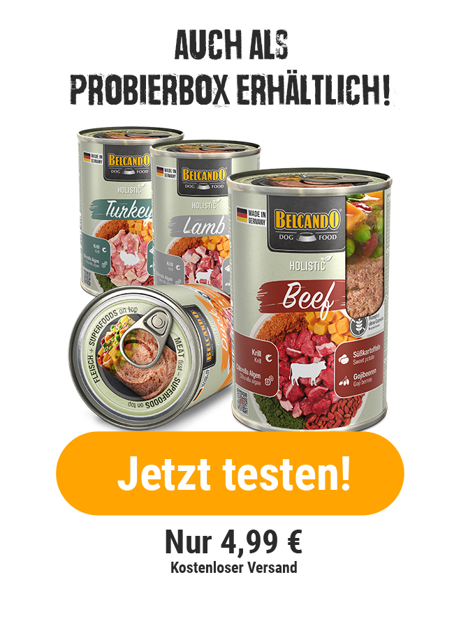 Hinweis darauf, dass die Holistic-Dosen auch als Probierbox erhältlich sind. Für nur 4,99€ inklusive Versand. Mit Button auf dem steht: Jetzt testen!