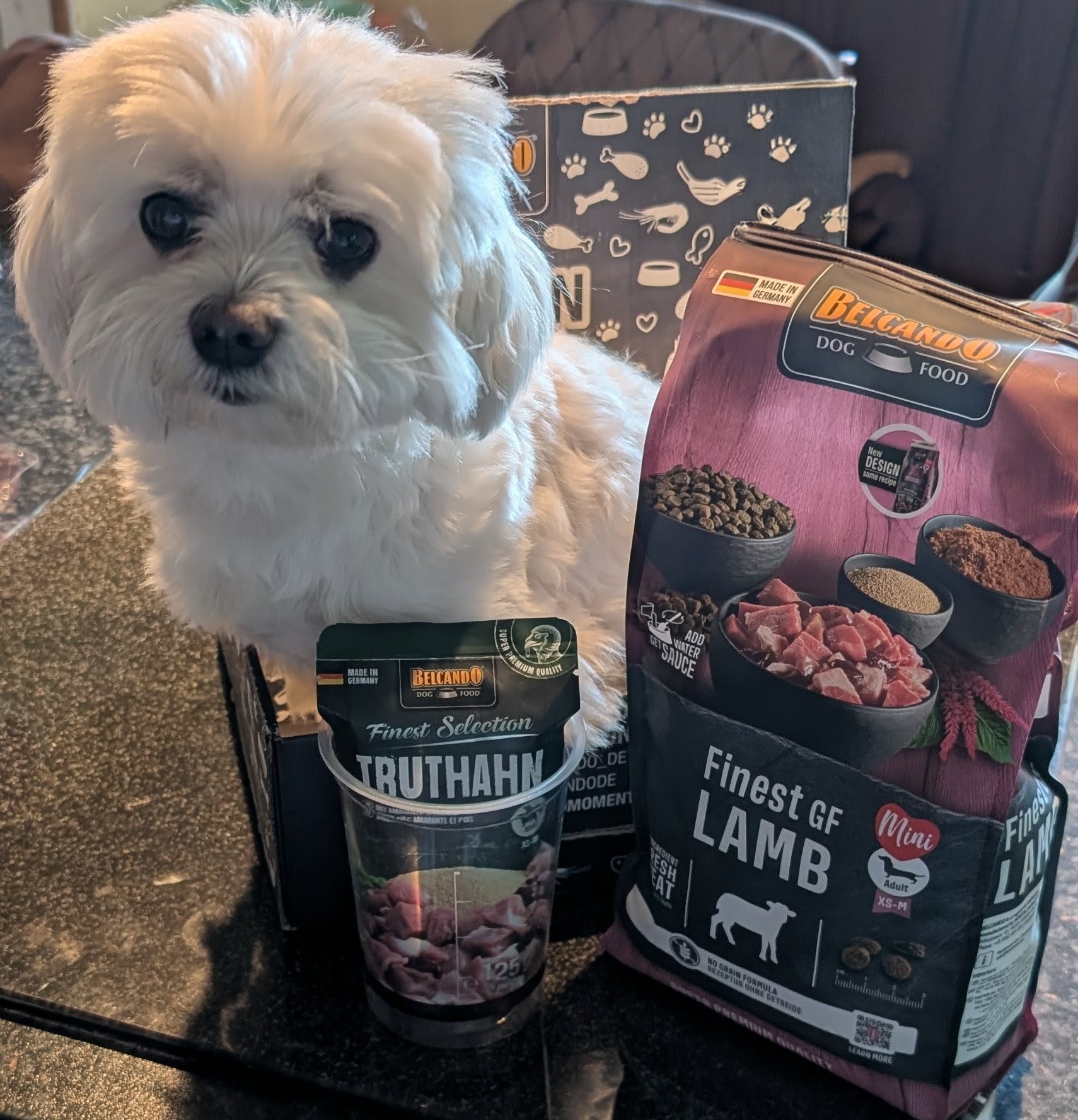 Dog Box BELCANDO Finest GF Lamb Dog Box BELCANDO Finest GF Lamb