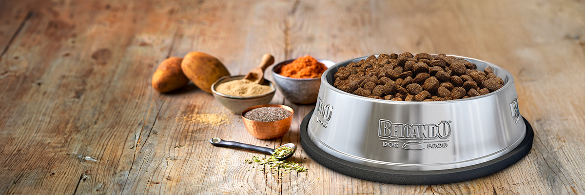 BELCANDO Dry food Bowl BELCANDO Bowl with ingredients and dry food