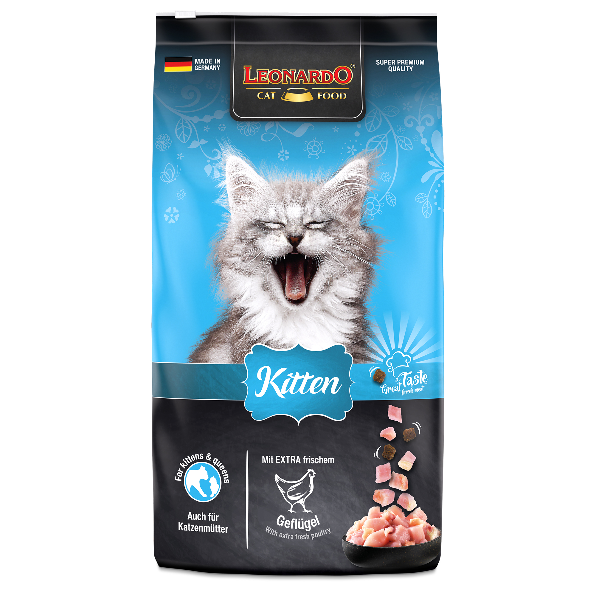 LEONARDO Kitten LEONARDO Kitten