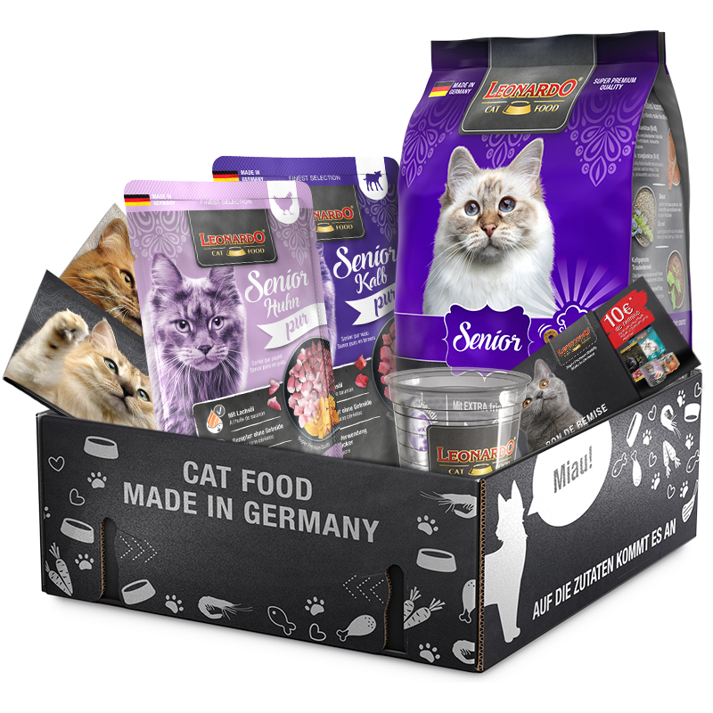 bl-klp-2024-senior-fr