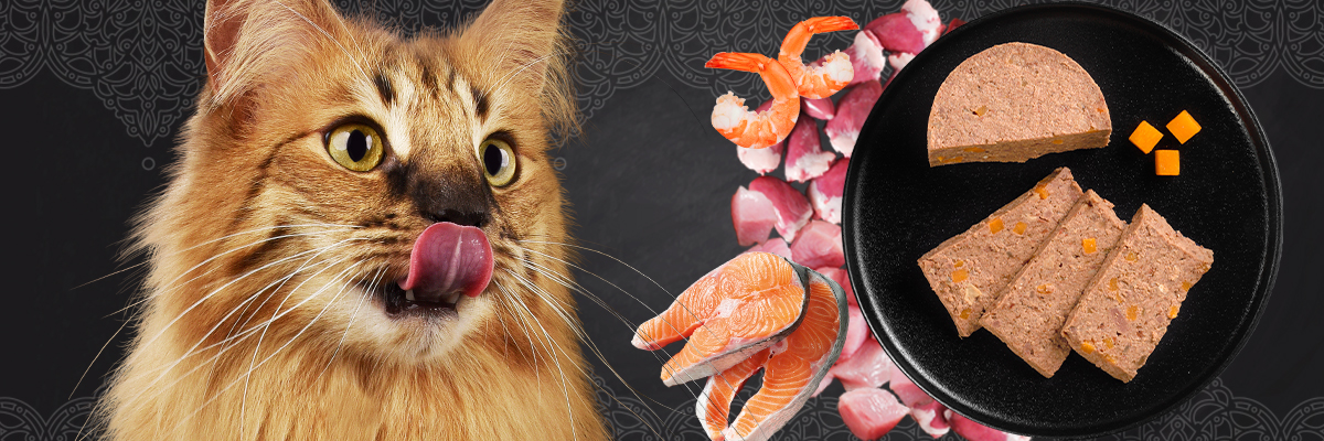 bl-kategorie-nassfutter-desktop-header