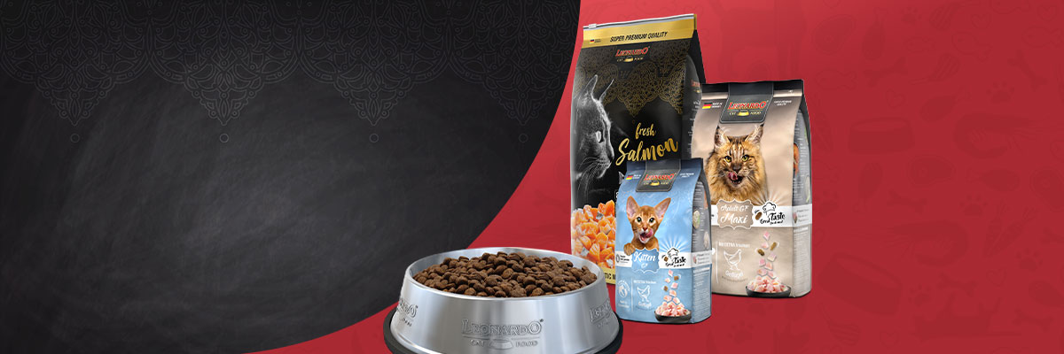 bl-produktübersicht-2024-header-trockenfutter-2024