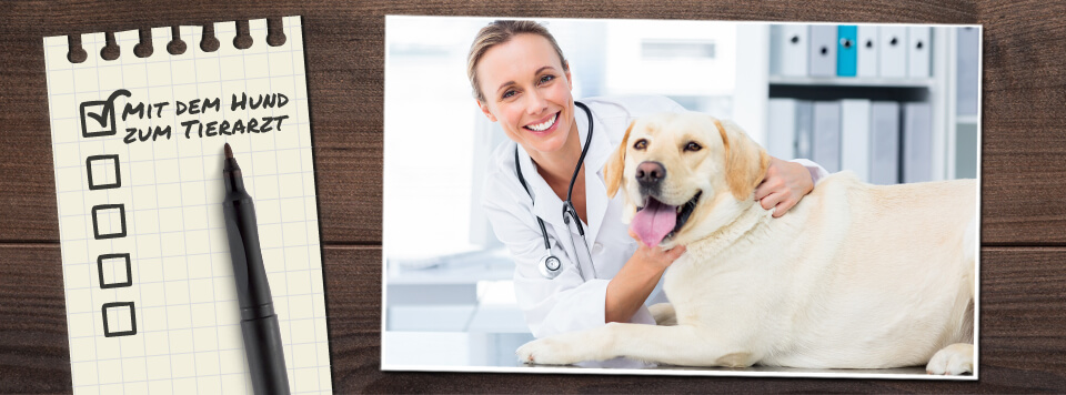 checkliste-besuch-beim-arzt checkliste-besuch-beim-arzt