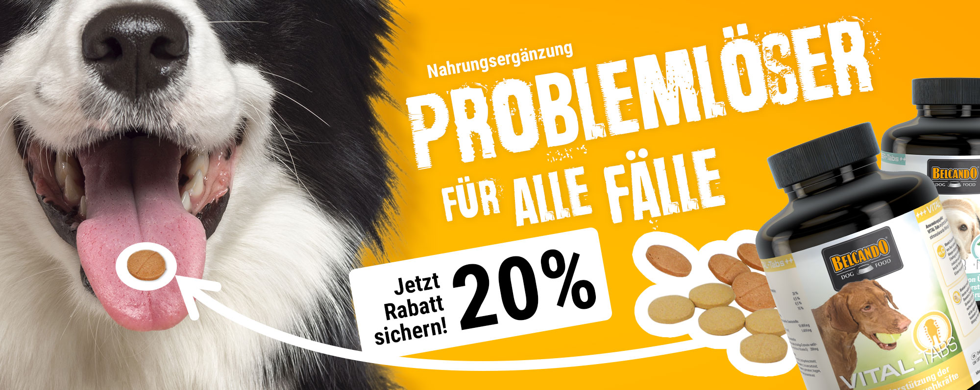 m101763-bb-nahrungsergänzung-tabs-header3