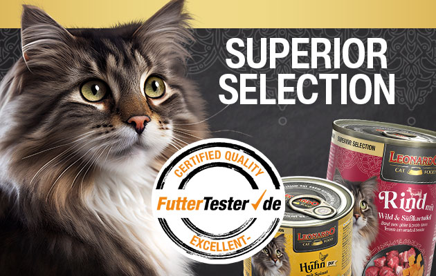 LEONARDO Superior Selection Header LEONARDO Superior Selection Header