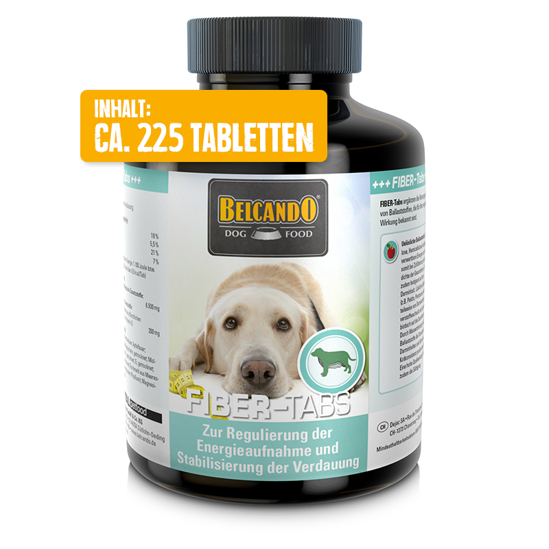 bb-tabs-fiber-front-225