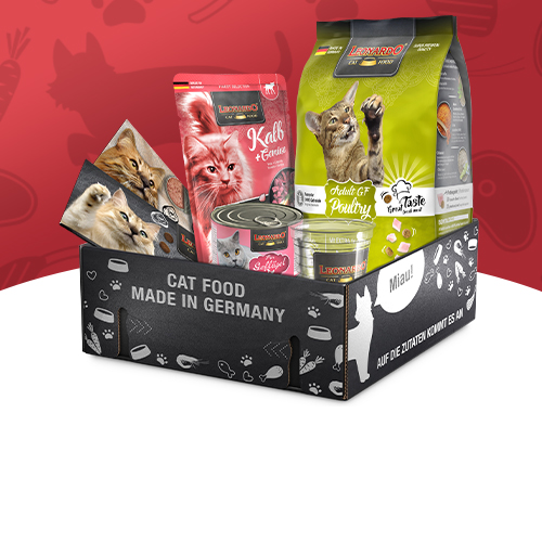 fast-nav-probierpakete-2024-es