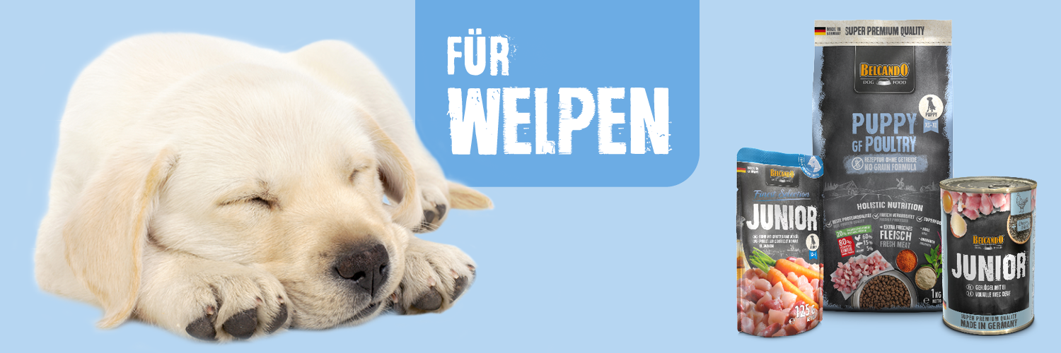 m100356-bb-klp-landingpage-banner-welpen