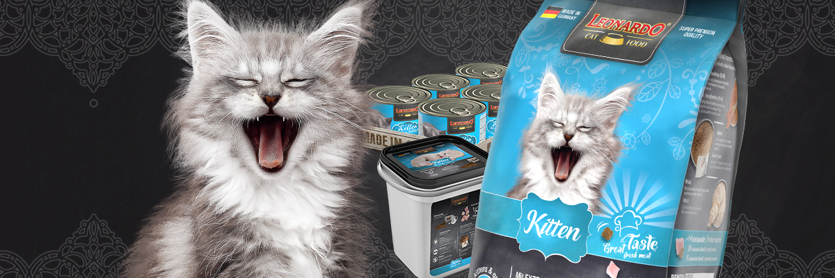 bl-kategorie-kitten-desktop-header