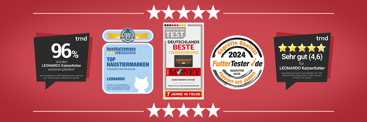 Auszeichnungen LEONARDO Fünf verschiedene Awards auf einem roten Hintergrund.