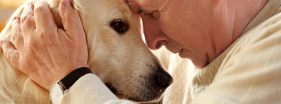 wie-alt-werden-hunde wie-alt-werden-hunde