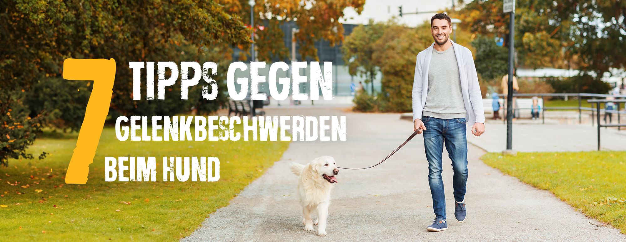 7 Tipps gegen Gelenkbeschwerden beim Hund bb-blog-gelenkbeschwerden-header