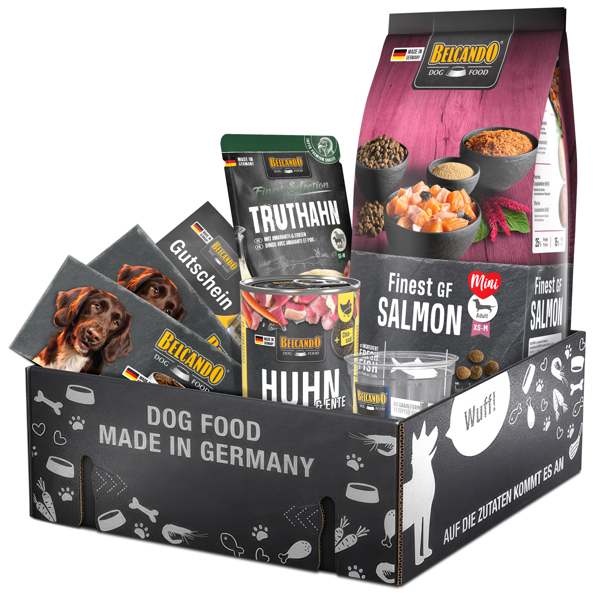 Dog Box BELCANDO Finest GF Salmon