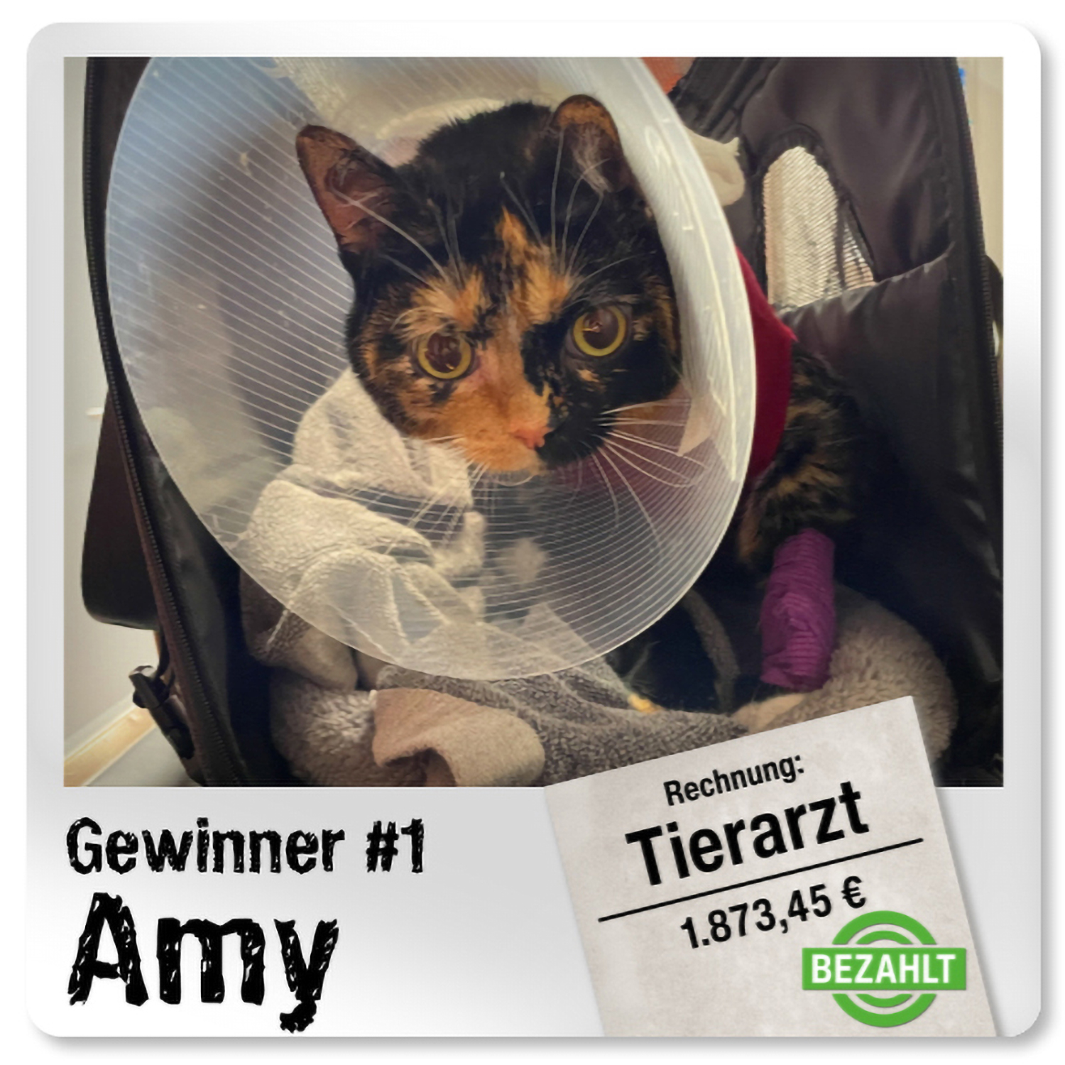 Gewinner-Amy-Polaroid Gewinner-Amy-Polaroid