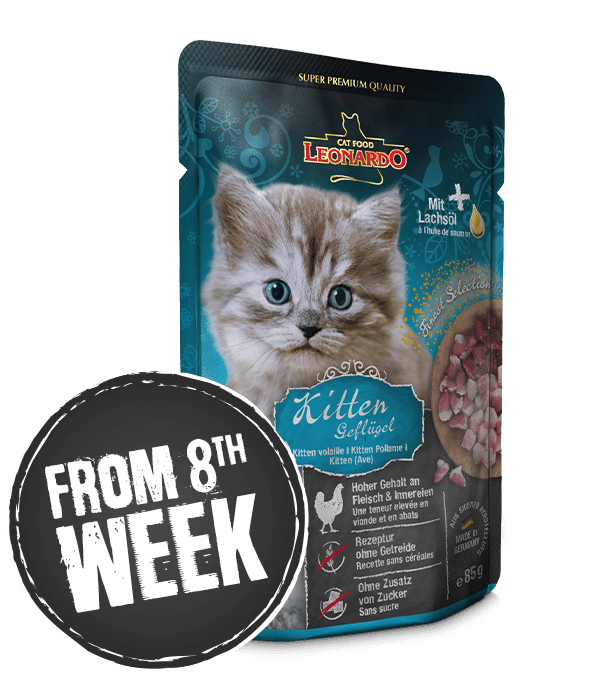 leonardo-kitten-pouche-wochenanzeige-gb