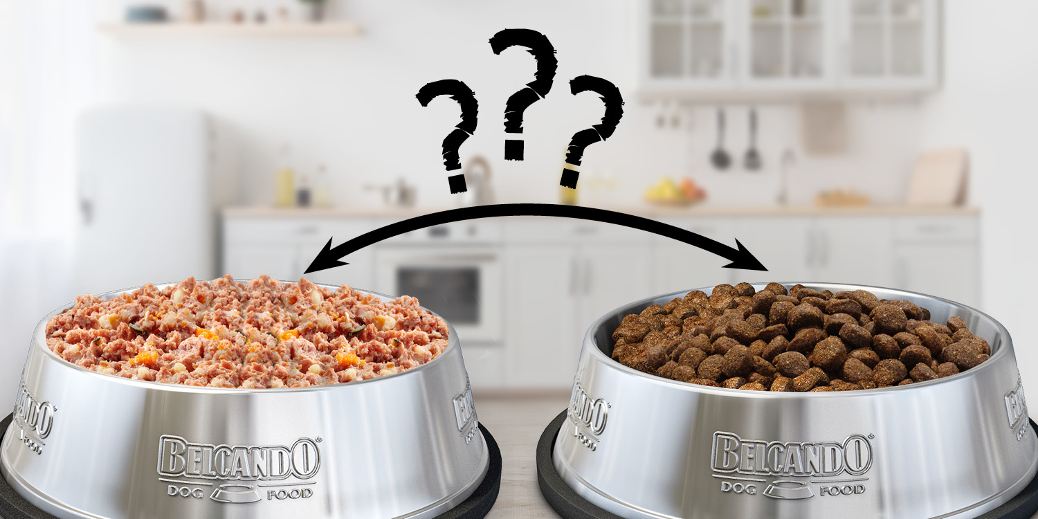 Napf mit Nassfutter und Trockenfutter Napf mit Nassfutter und Trockenfutter