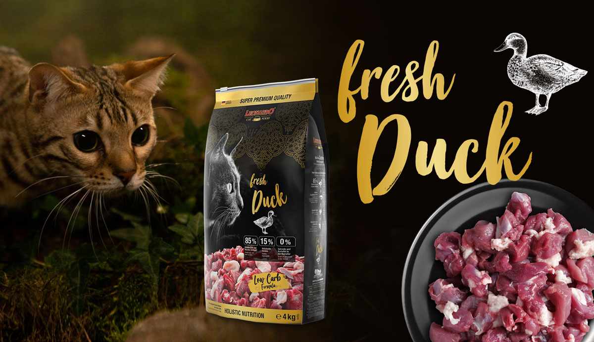 leonardo-sorte-fresh-duck