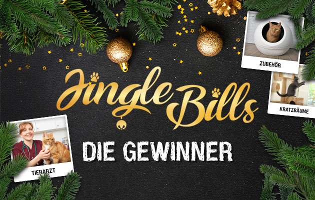 p101986-bl-jinglebills-mobile-header-gewinner