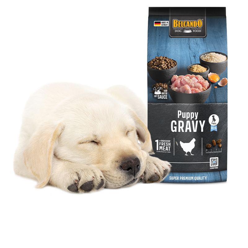 Belcando Trockenfutter für Welpen