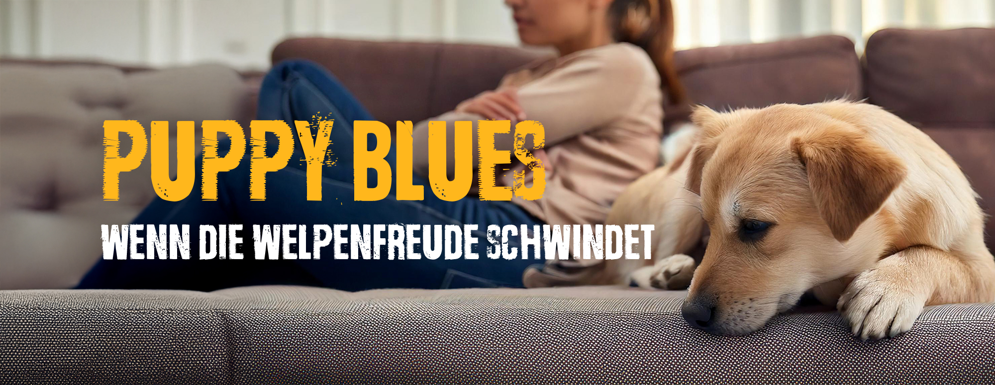 frau auf sofa mit welpen