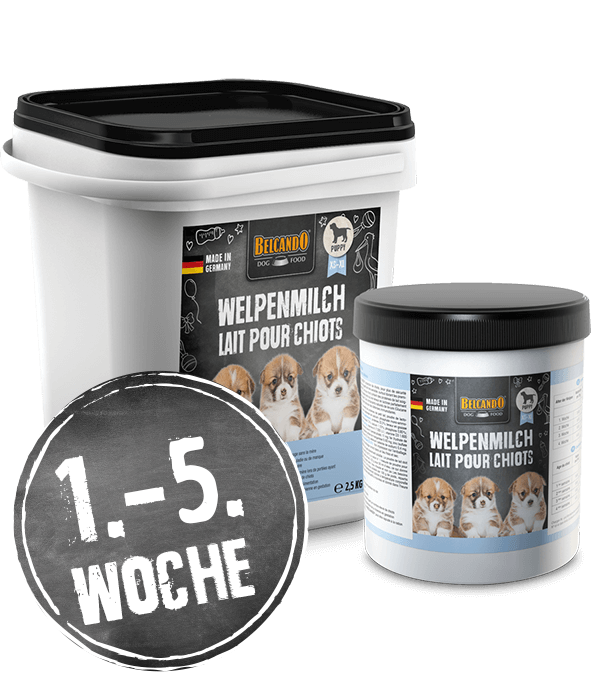 1. - 5. Woche 1. - 5. Woche