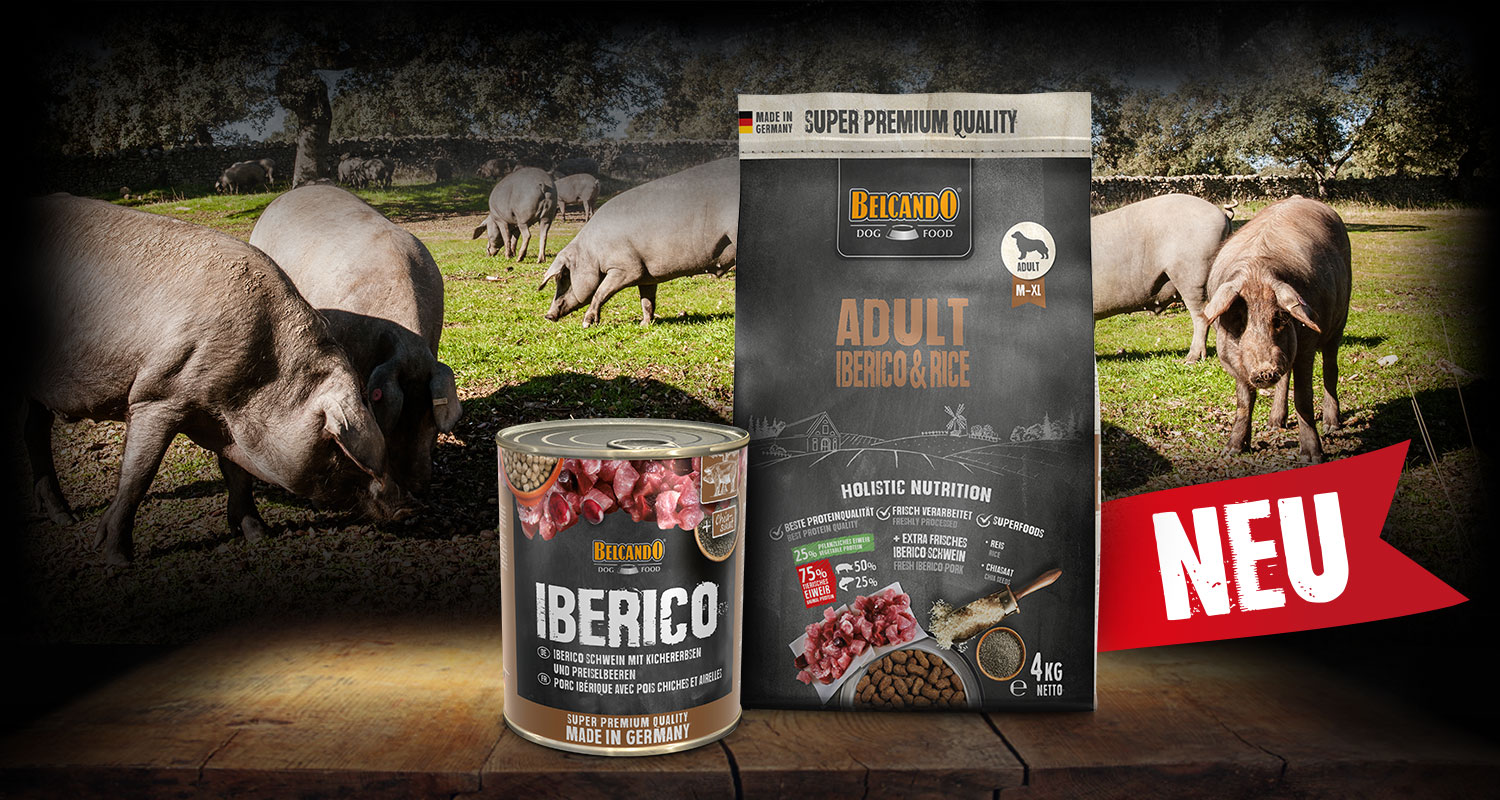 Adult Iberico & Rice