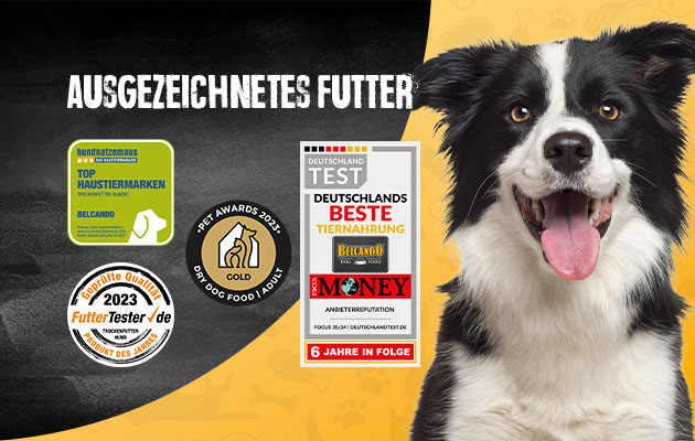 bb-klp-awards-2024-mobile-header