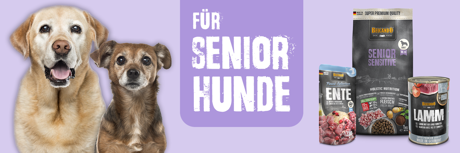 bb-klp-landingpage-banner-senior