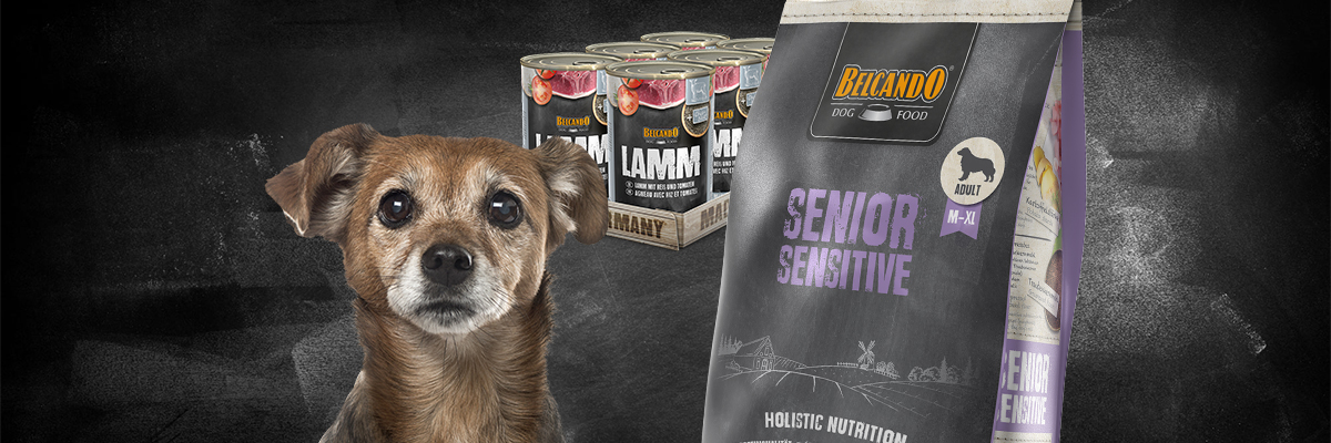 bb-kategorie-senior-desktop-header