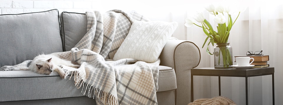 Header-Katze-Haarausfall Header-Katze-Haarausfall