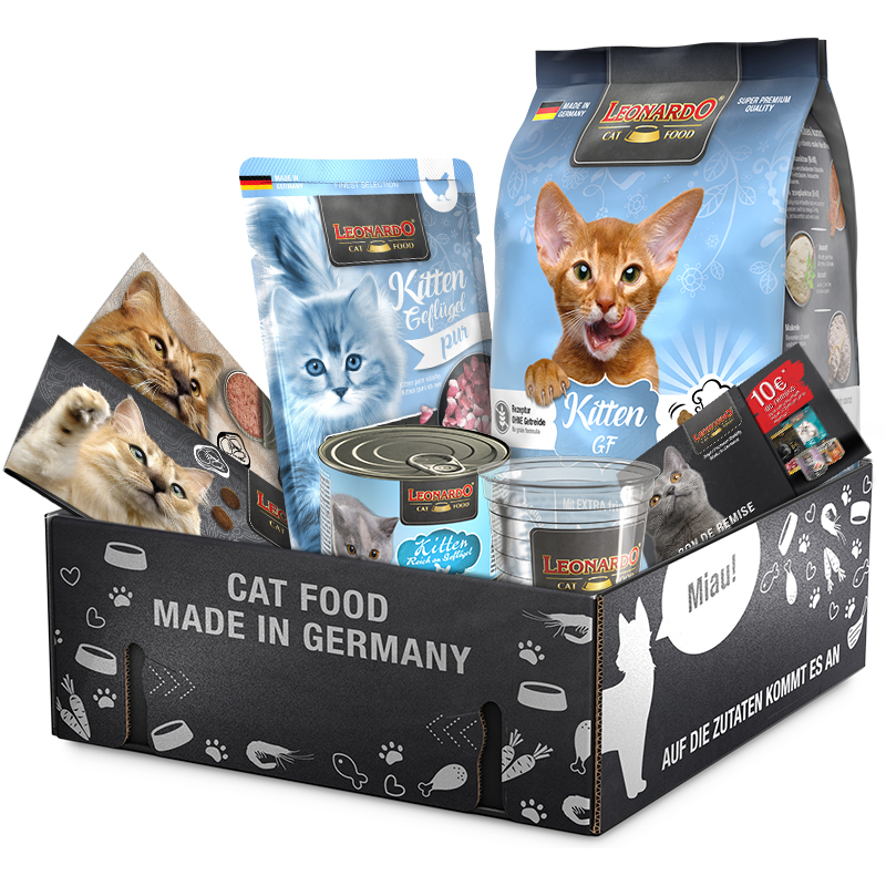 Paquet découverte Kitten GF bl-klp-2024-kitten-gf-fr