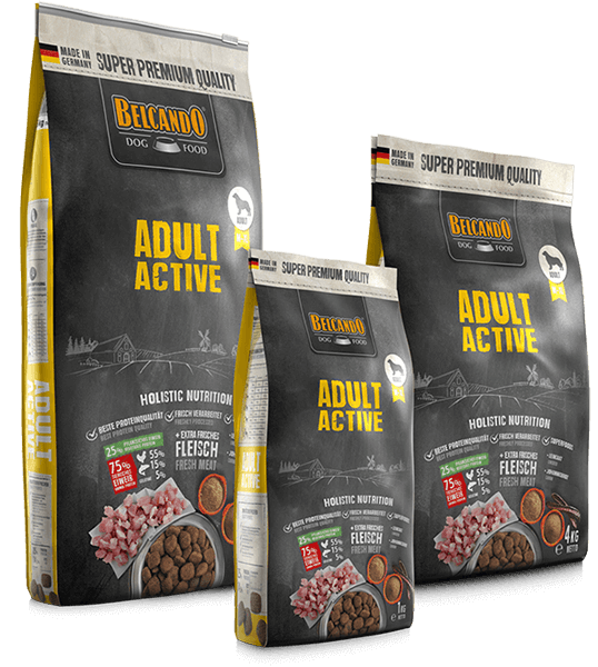 Belcando-Adult-Active-Composing Belcando-Adult-Active-Composing