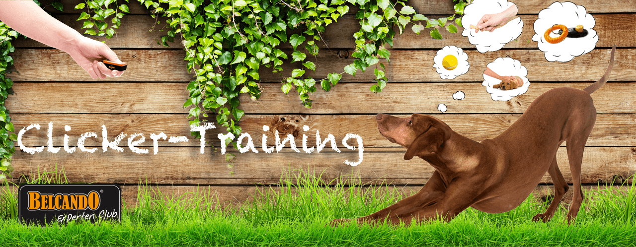 clicker-training-belcando clicker-training-belcando