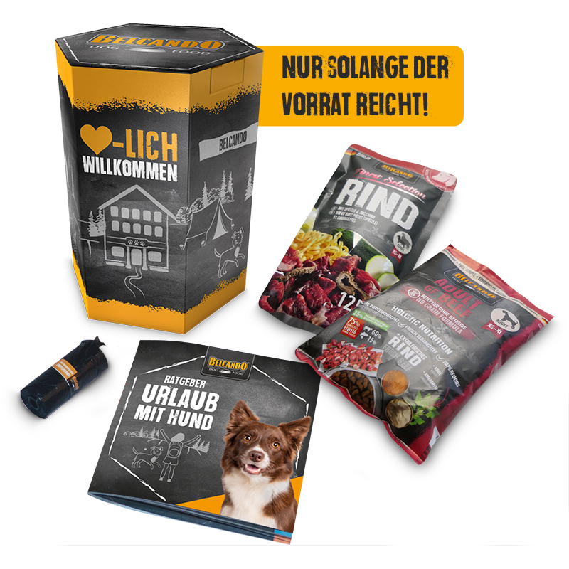 bb-holiday-box-2025-800px