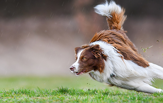 bb-agility-mobile-header-1