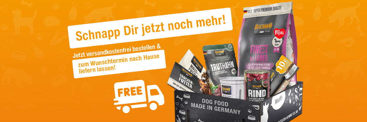 bb-urlaub-lp-desktop-header